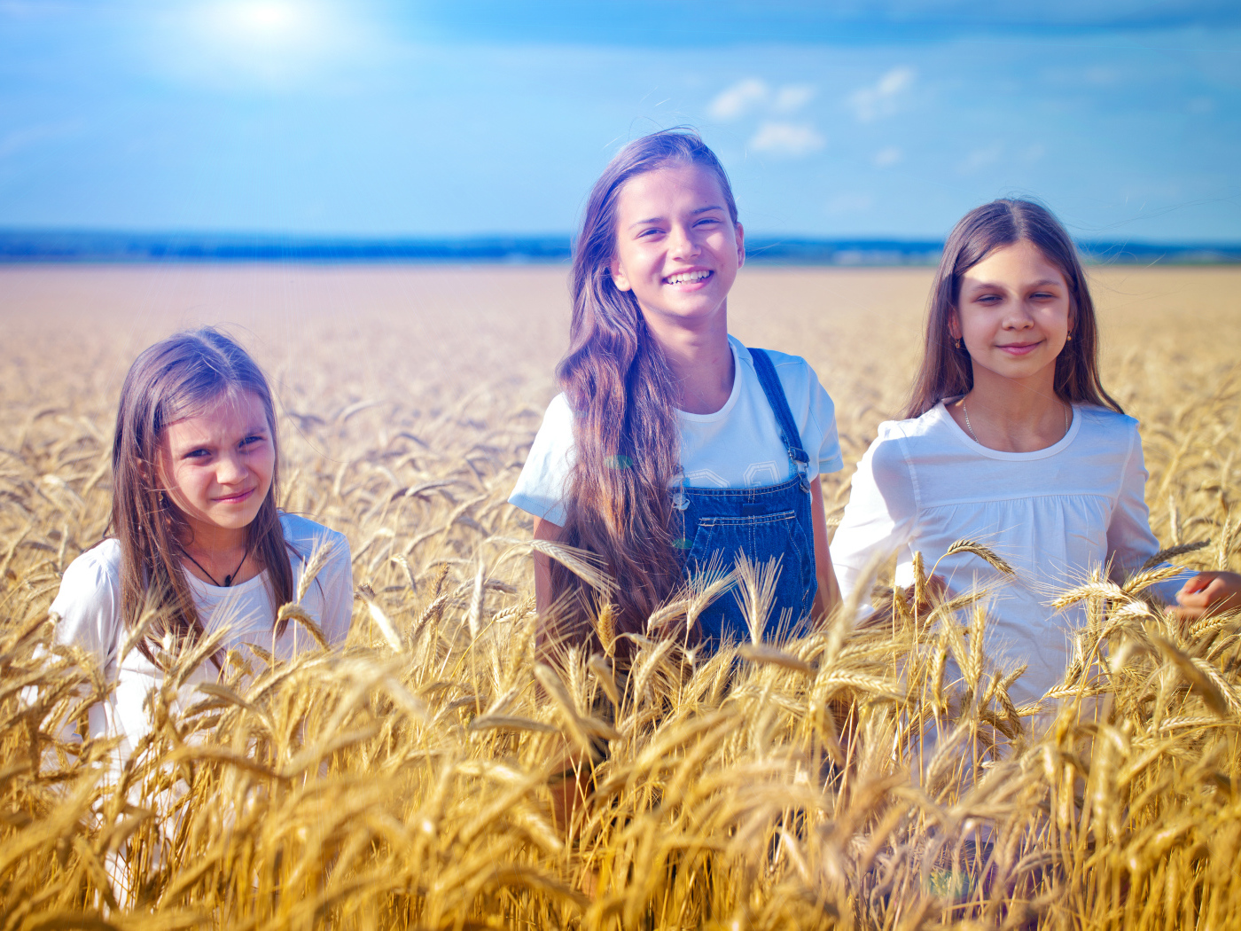 Три девочки на поле с желтой пшеницей