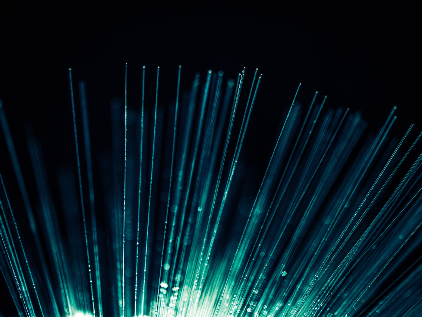 Неоновые лучи лампы на черном фоне 