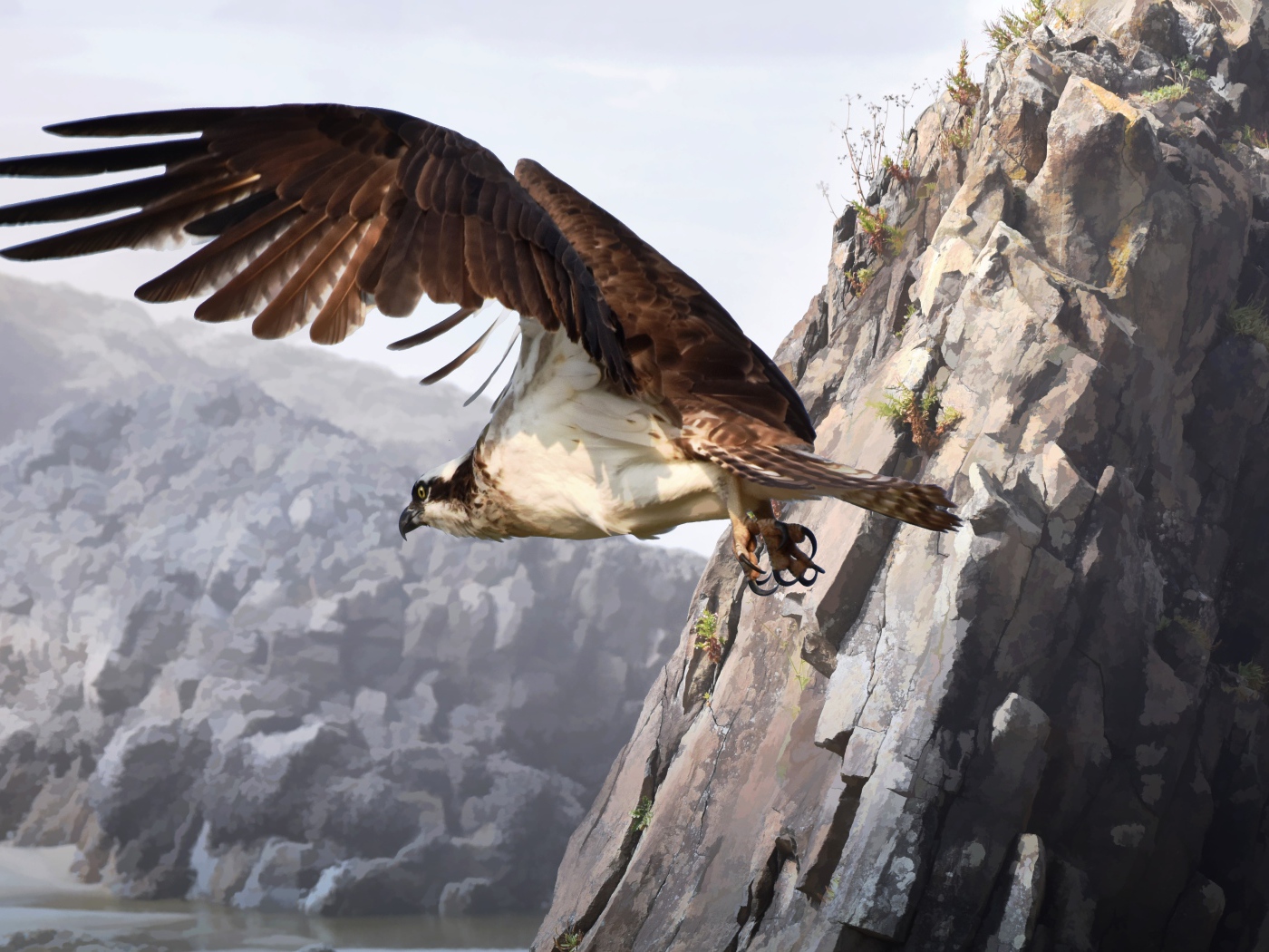 Большой хищный сокол летит у горы 