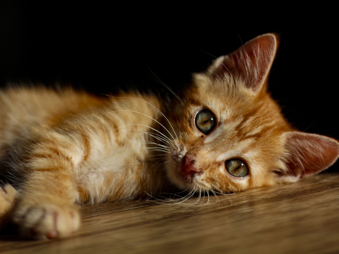 Маленький рыжий котенок лежит на полу 