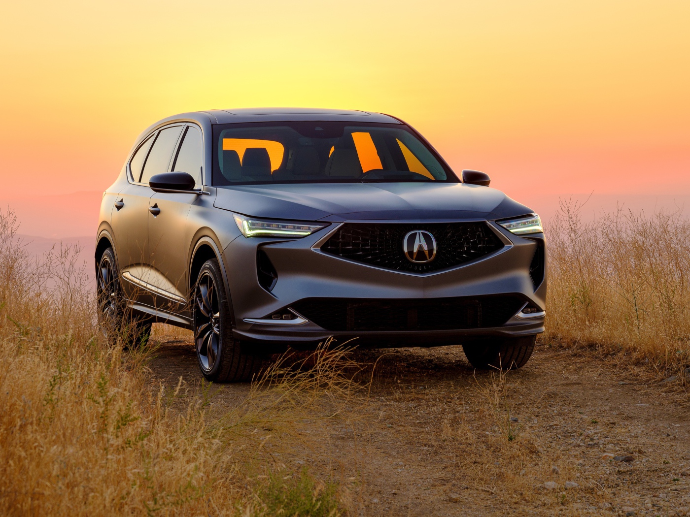 Автомобиль Acura MDX Prototype 2020 года в поле