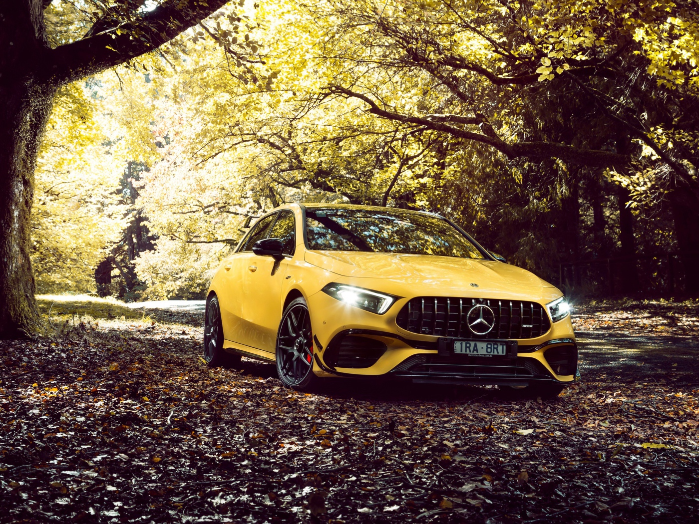 Желтый автомобиль Mercedes-AMG A 45 S,  2020 года в осеннем лесу 