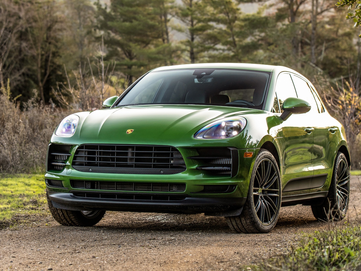 Зеленый внедорожник Porsche Macan S в лесу