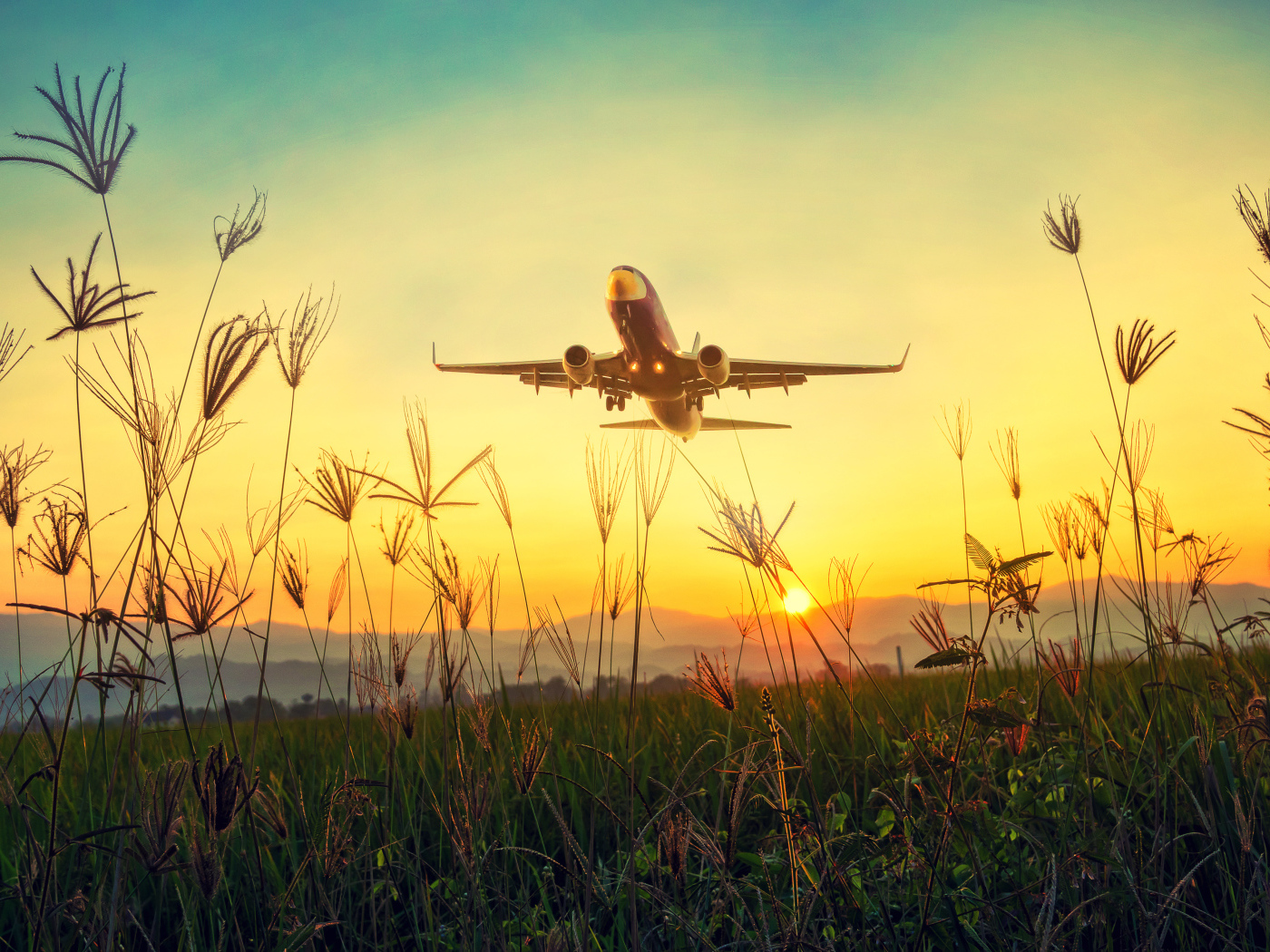 Большой пассажирский самолет взлетает над полем на рассвете 