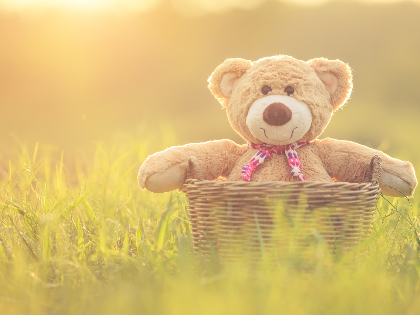 Плюшевый медведь в корзине стоит на зеленой траве