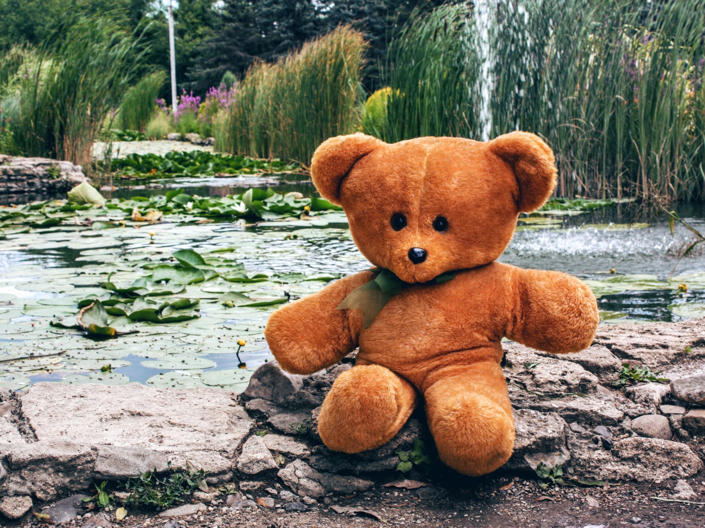 Плюшевый медведь сидит на камне у пруда