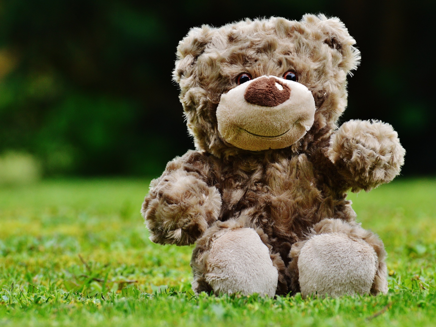 Игрушечный медвежонок сидит на зеленой траве