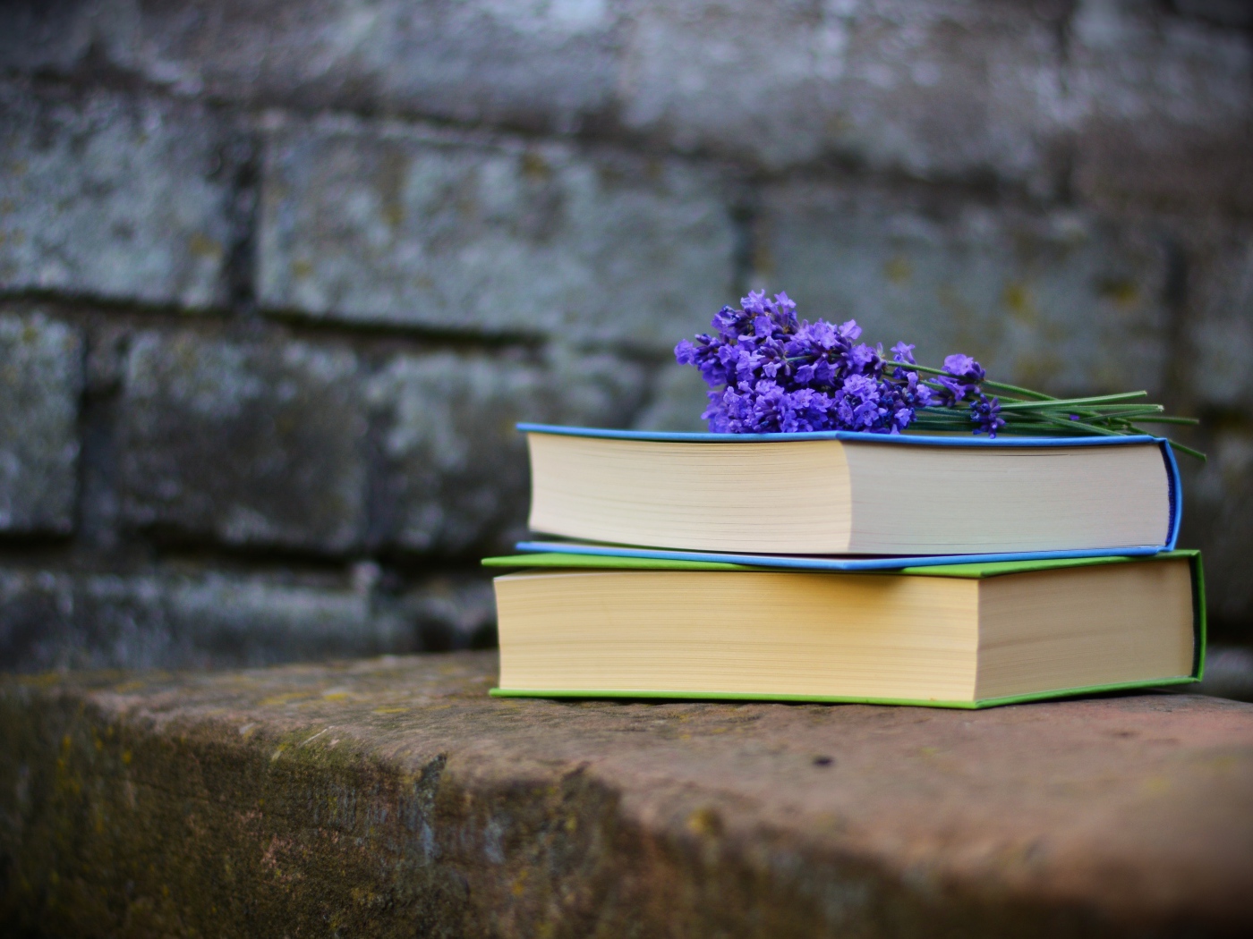 Две книги лежат на камне с цветами лаванды