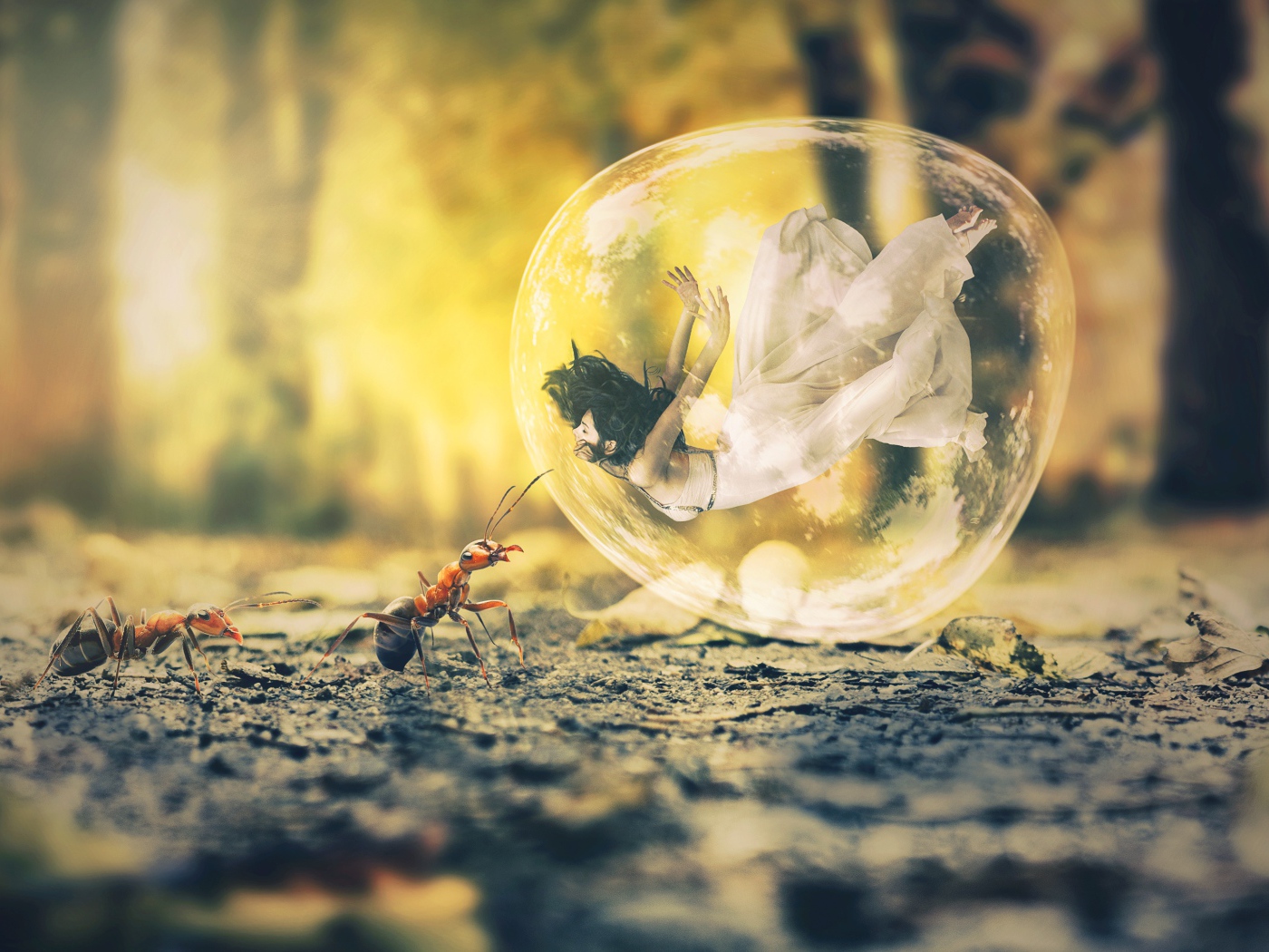 Девушка в пузыре на асфальте с муравьями