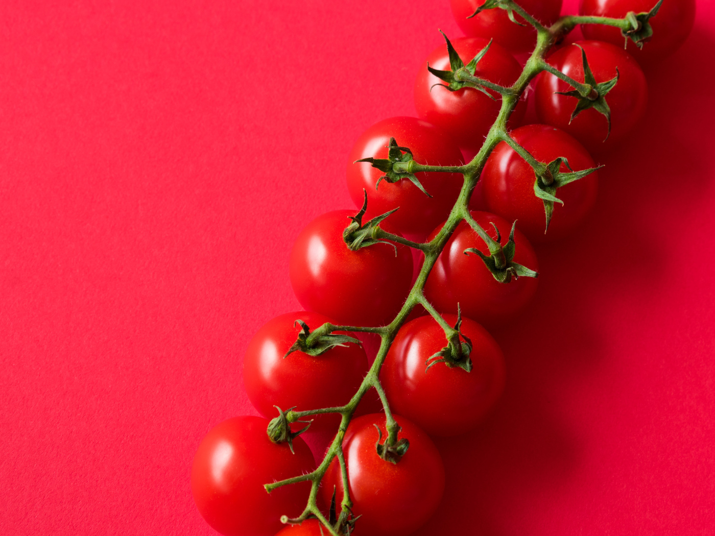 Много красных спелых помидоров на розовом фоне