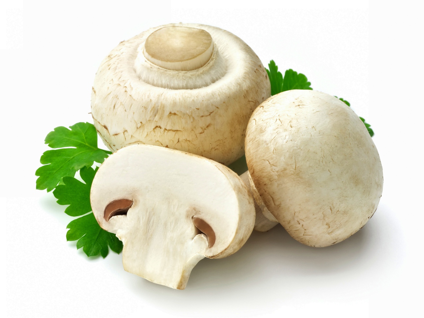 Свежие шампиньоны на белом фоне с петрушкой 