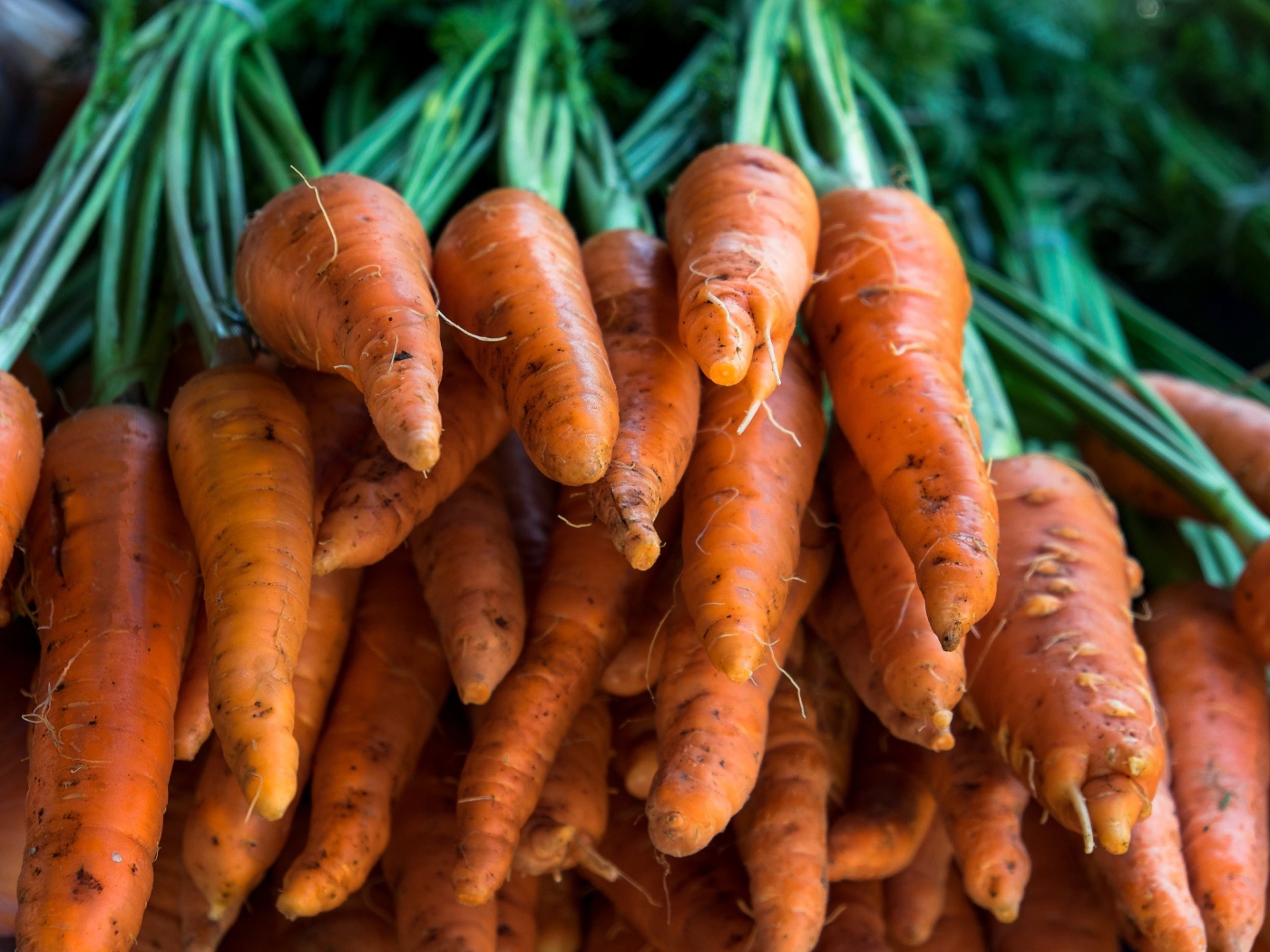 Много оранжевой моркови крупным планом 