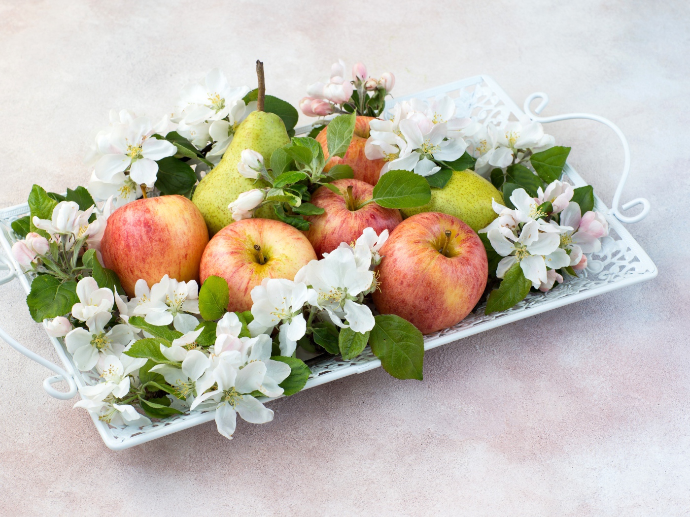 Яблоки и груши на тарелке с цветами яблони 