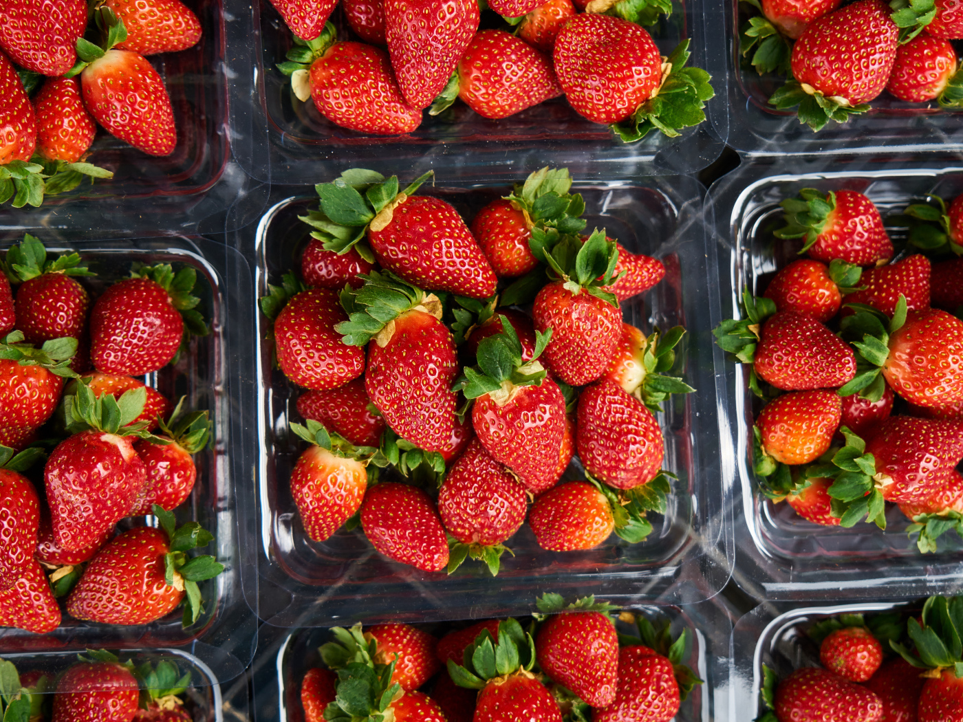 Много контейнеров со спелой сочной красной клубникой 