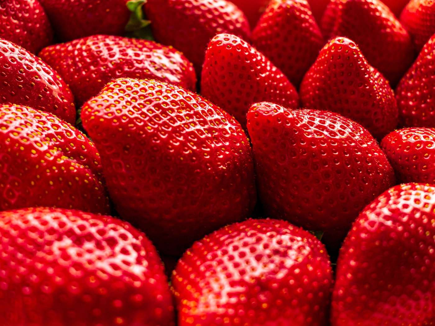 Много сладкой спелой красной клубники крупным планом