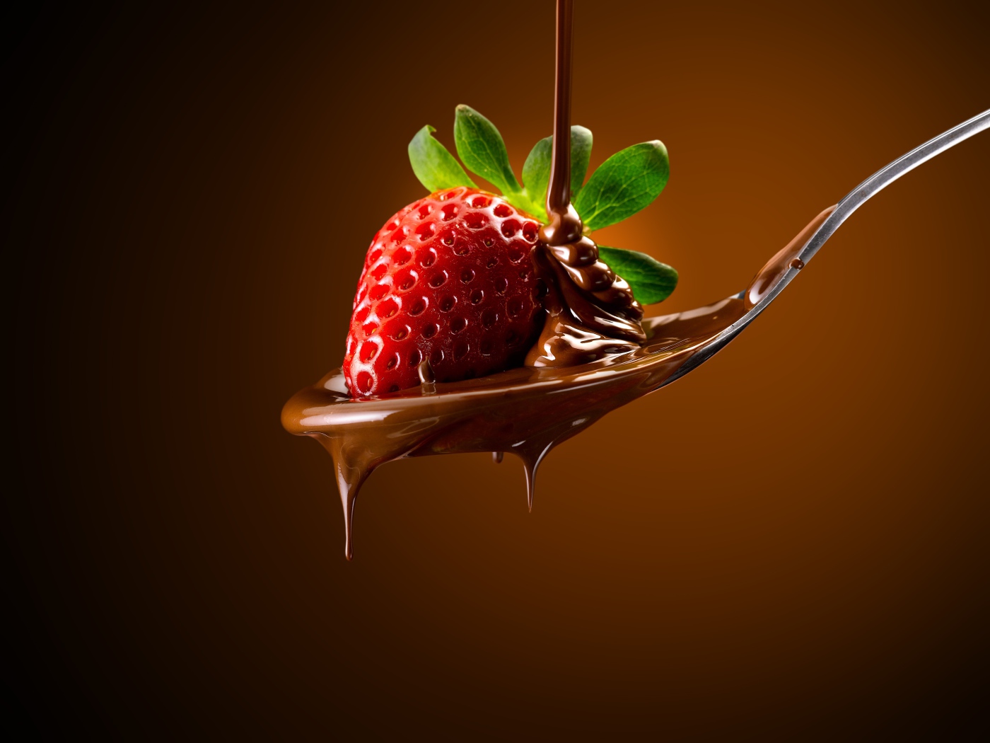 Красная клубника на ложке с молочным шоколадом