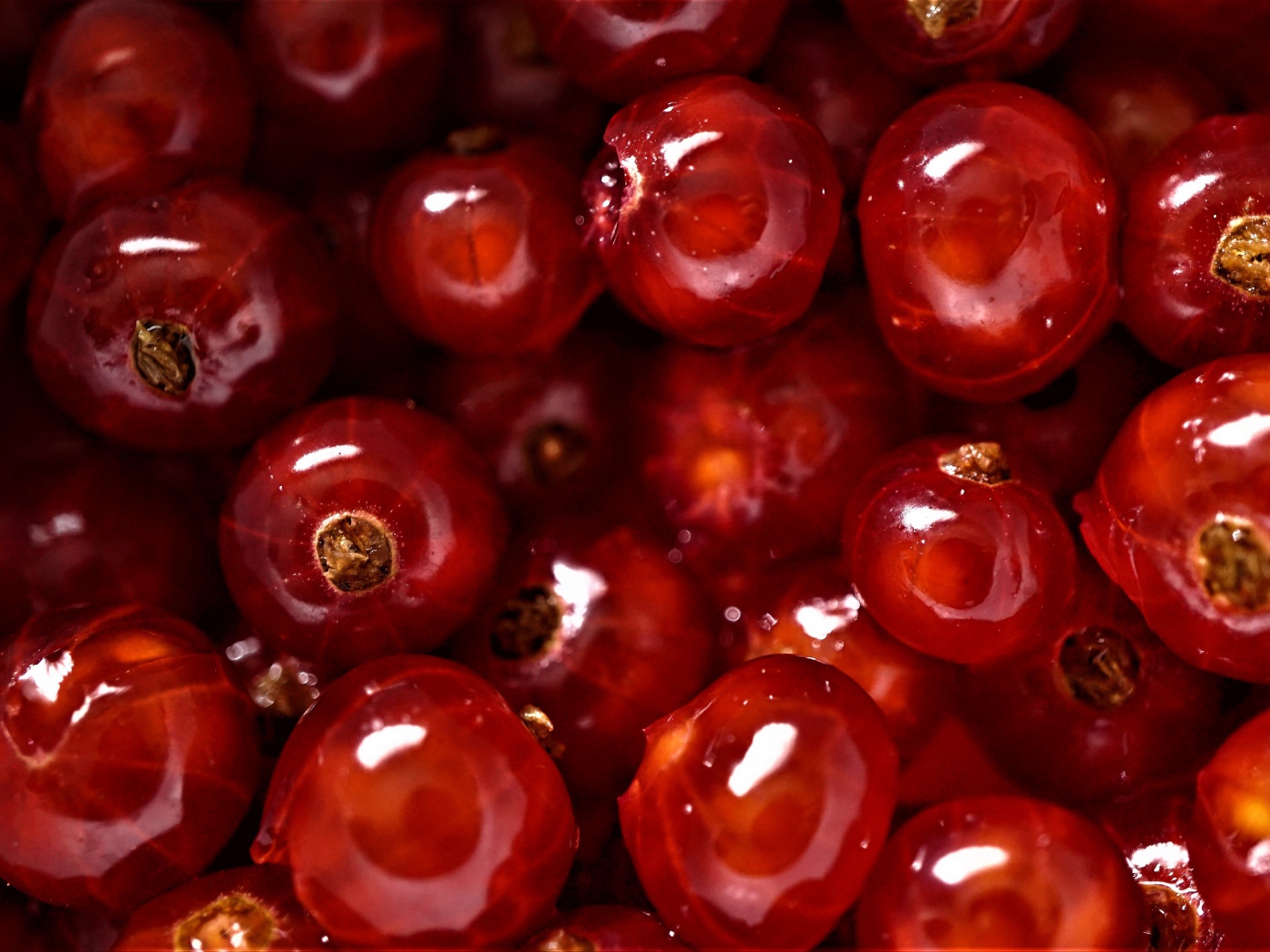 Спелые сочные ягоды красной смородины