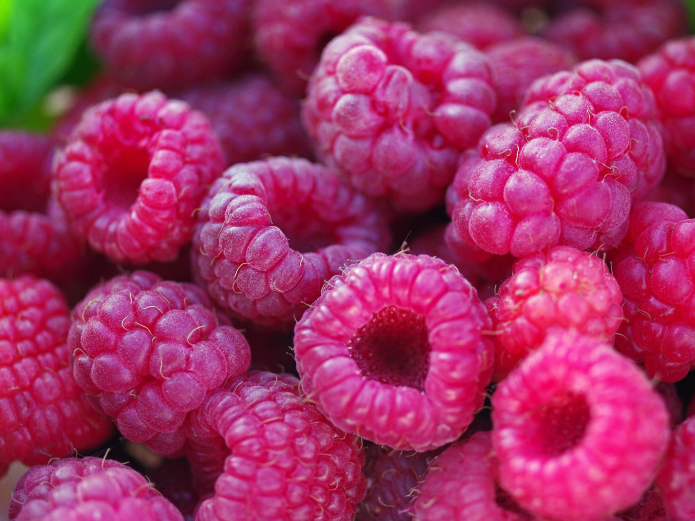 Спелые крупные ягоды малины 