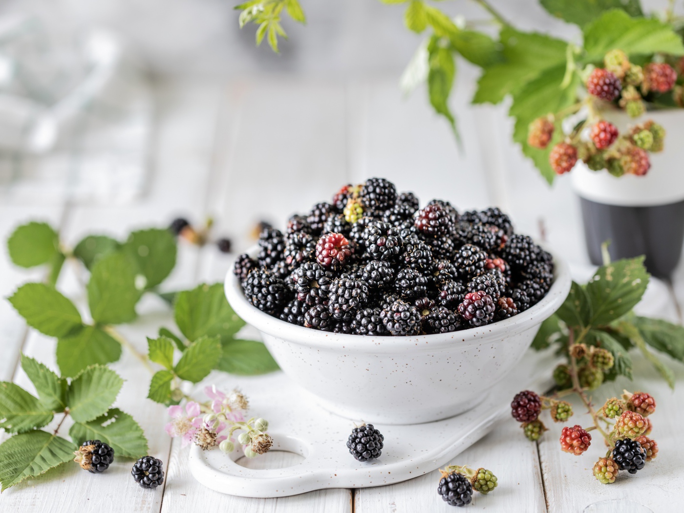 Вкусная ежевика на столе с ветками 