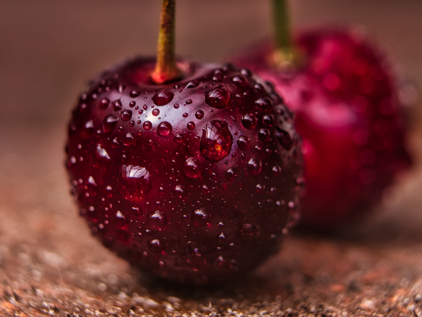 Две спелые красные черешни в каплях воды крупным планом 