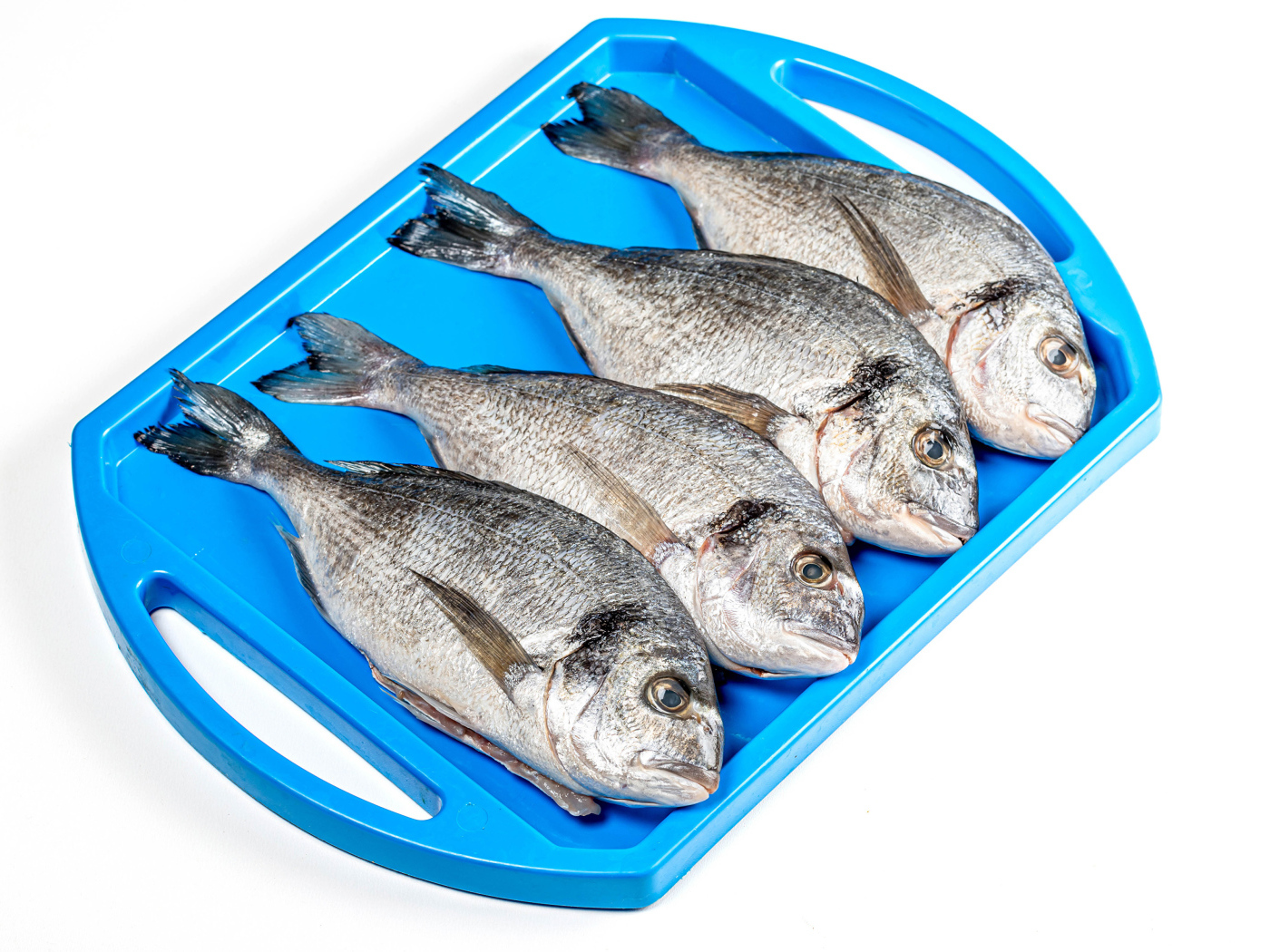 Свежая рыба на голубом подносе на белом фоне