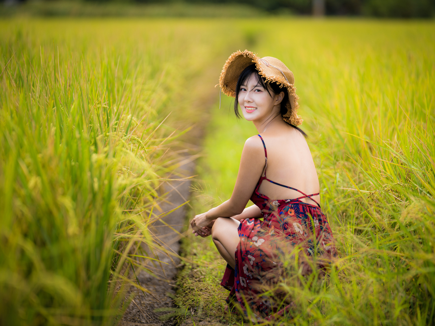 Девушка азиатка сидит на рисовом поле 