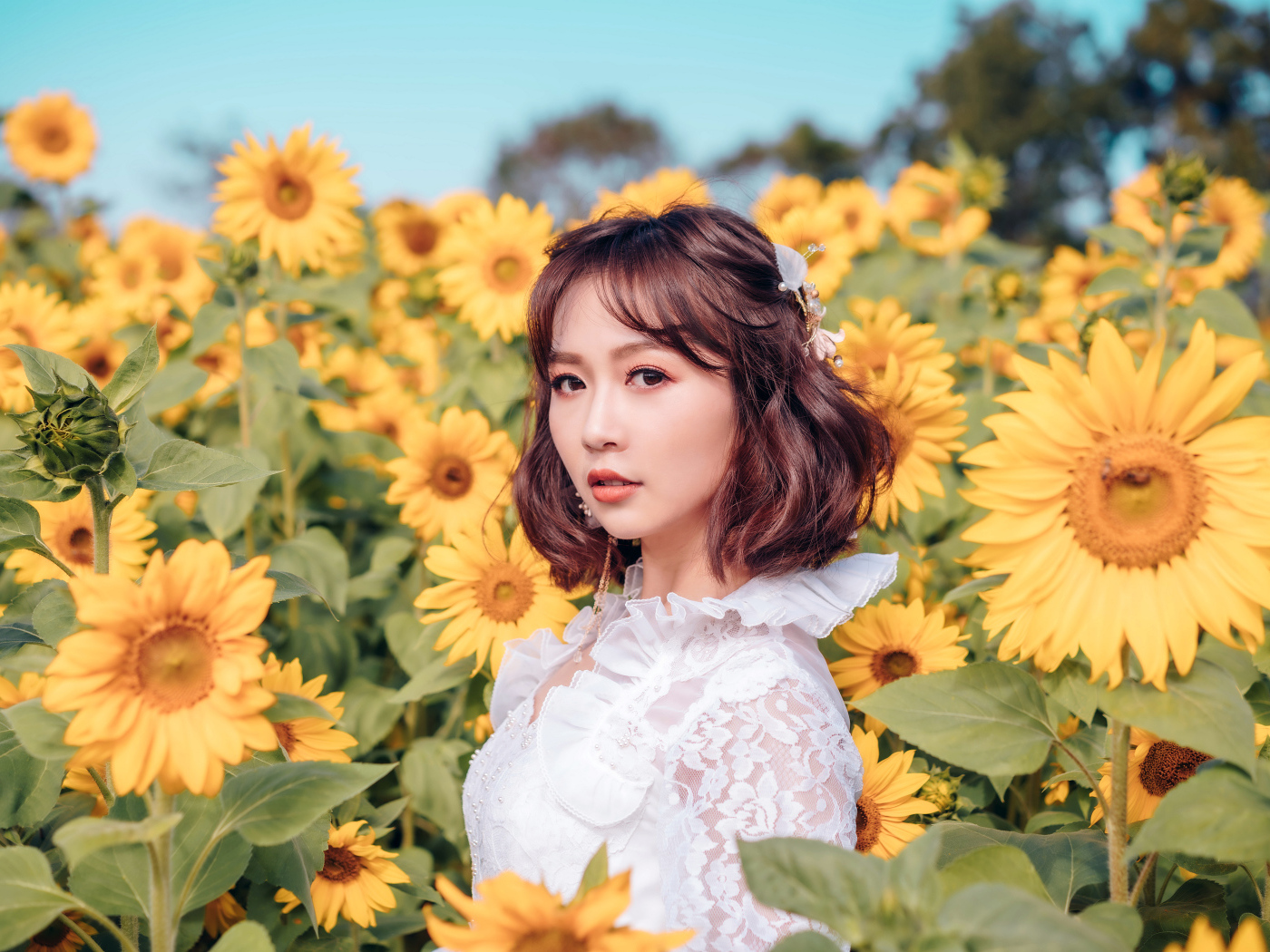 Красивая девушка азиатка в белом платье на поле с подсолнухами