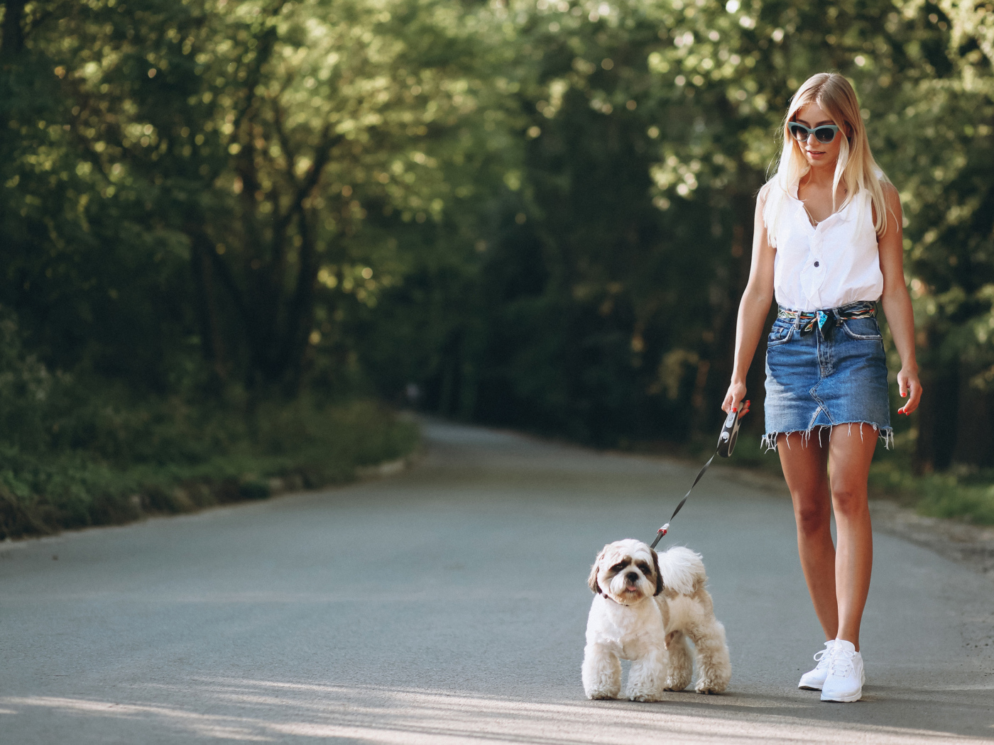 Красивая блондинка идет по дороге с собакой