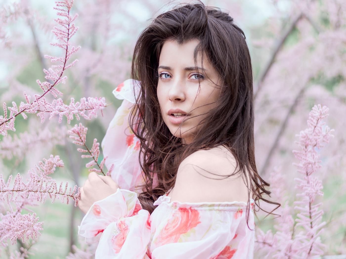 Красивая голубоглазая девушка в розовых зарослях 