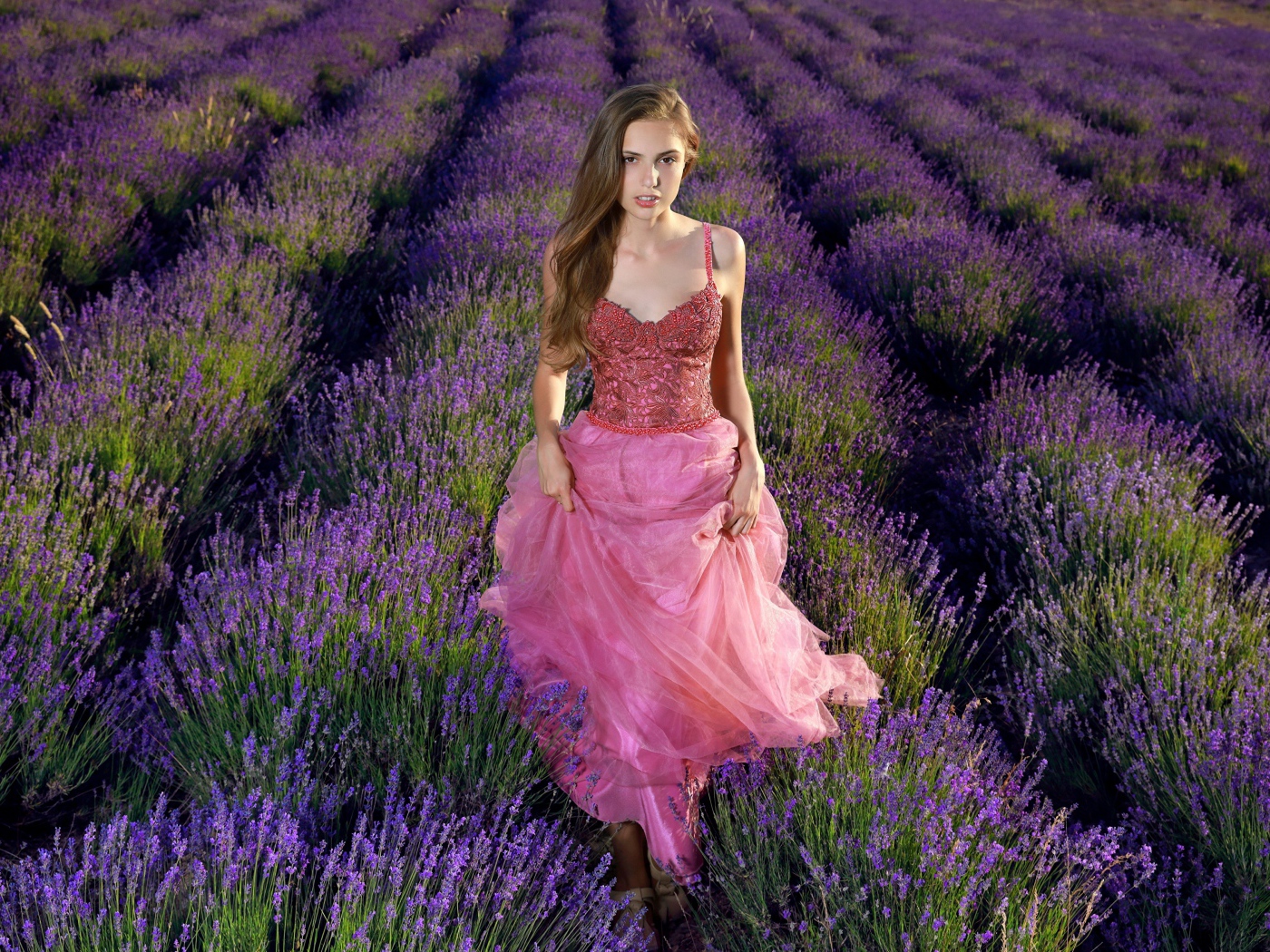 Красивая девушка в розовом платье на лавандовом поле 