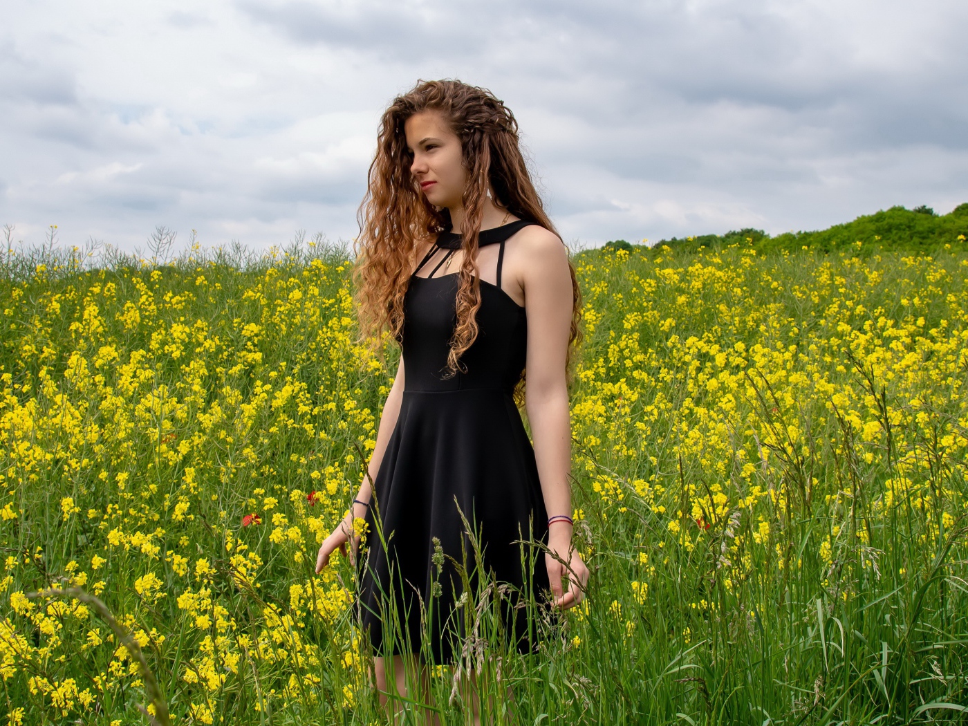 Молодая девушка в черном платье на поле с желтыми цветами