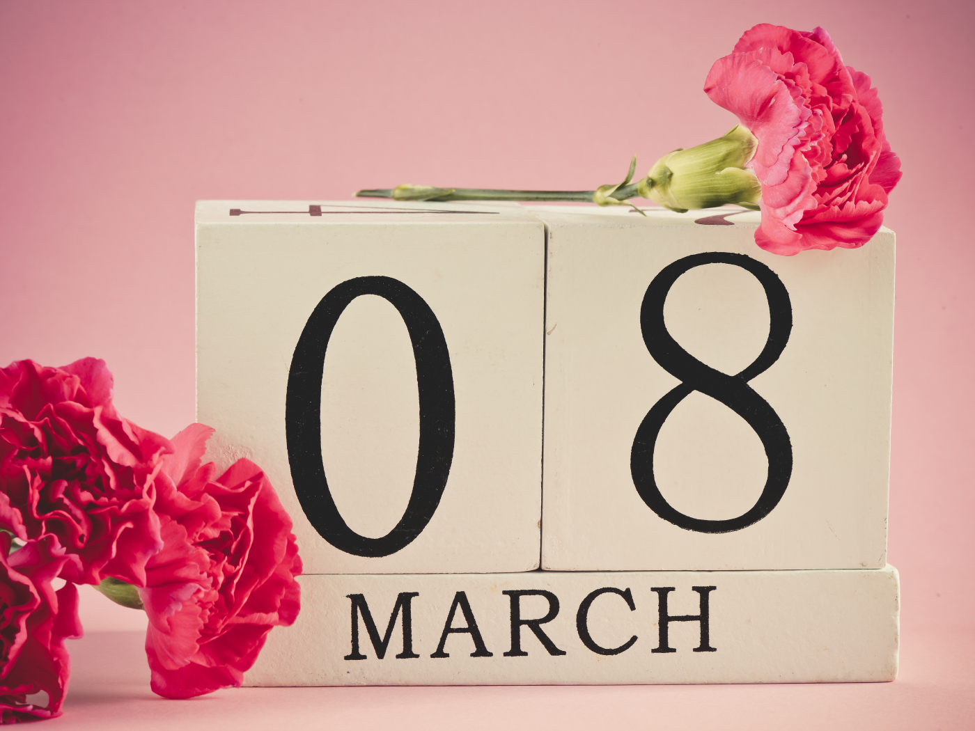 Розовые гвоздики в подарок на 8 марта