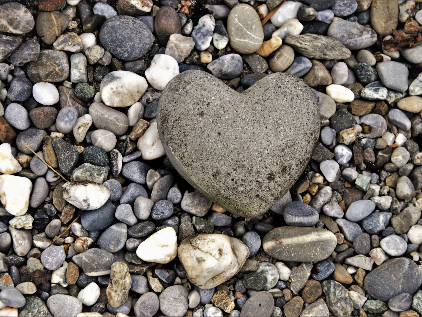 Большой камень в форме сердца лежит на морской гальке