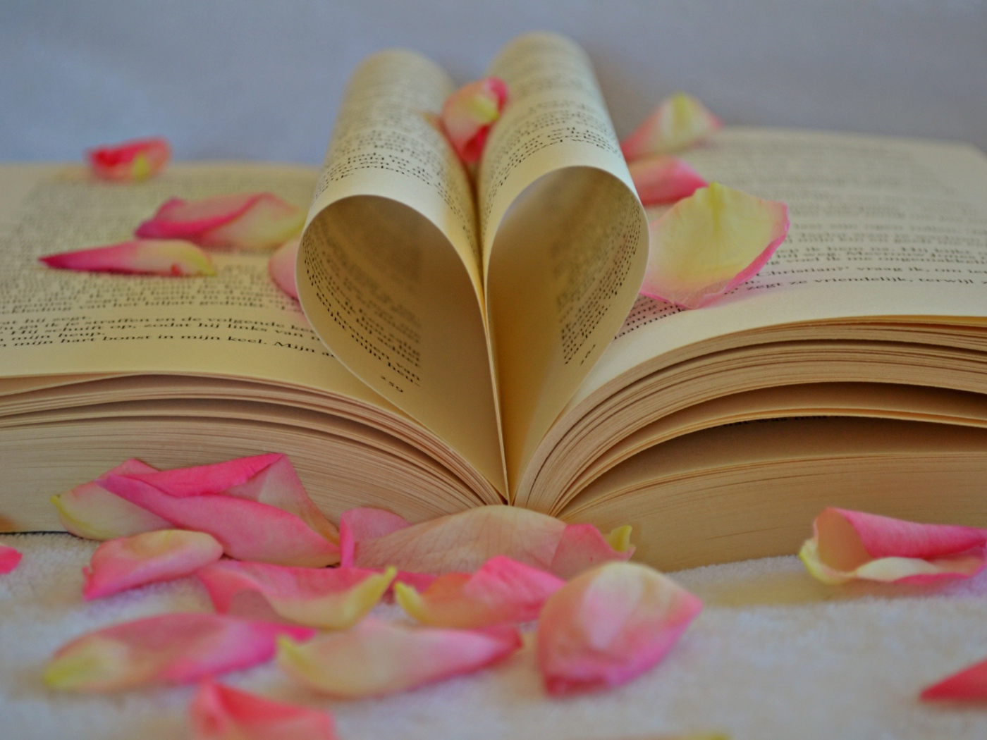 Сердце из листов книги с лепестками розы 