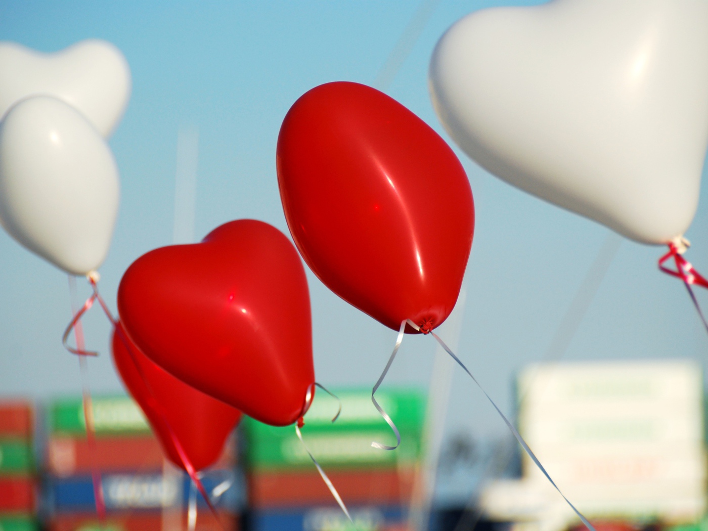 Белые и красные воздушные шарики в форме сердца