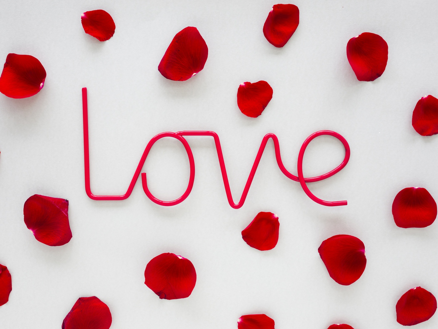 Розовая надпись Love на сером фоне с лепестками розы 