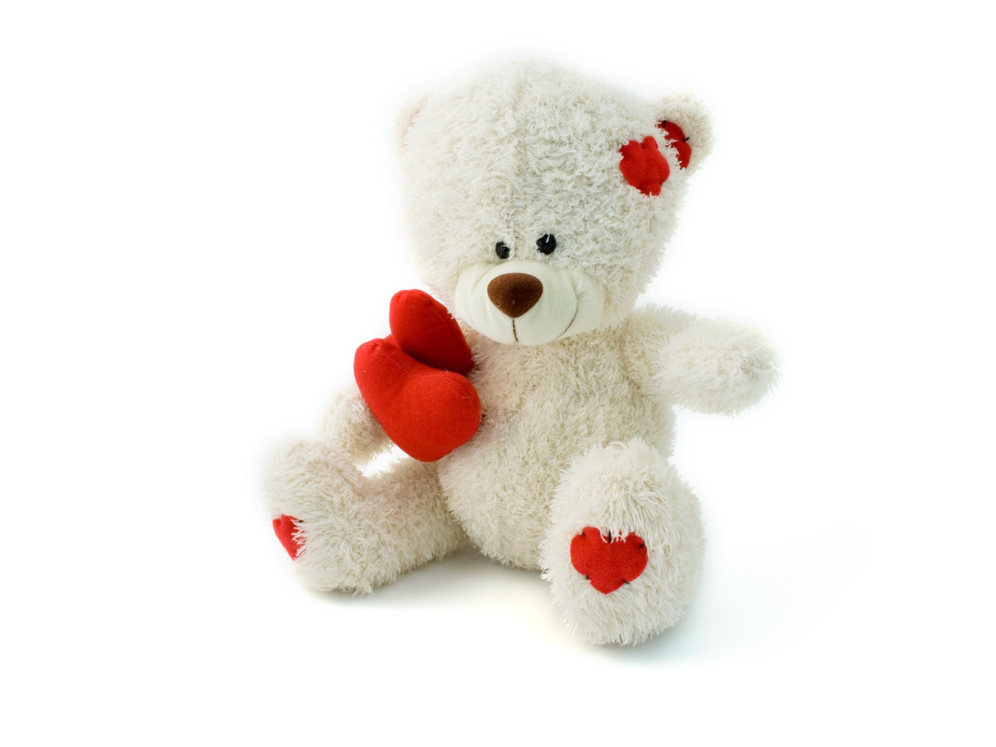 Polar bear Teddy with red heart