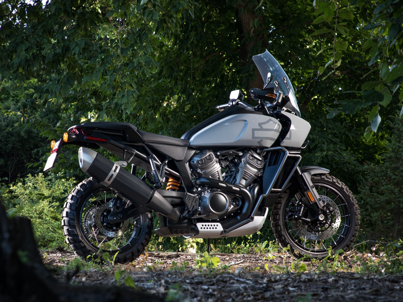 Мотоцикл Harley-Davidson в парке 