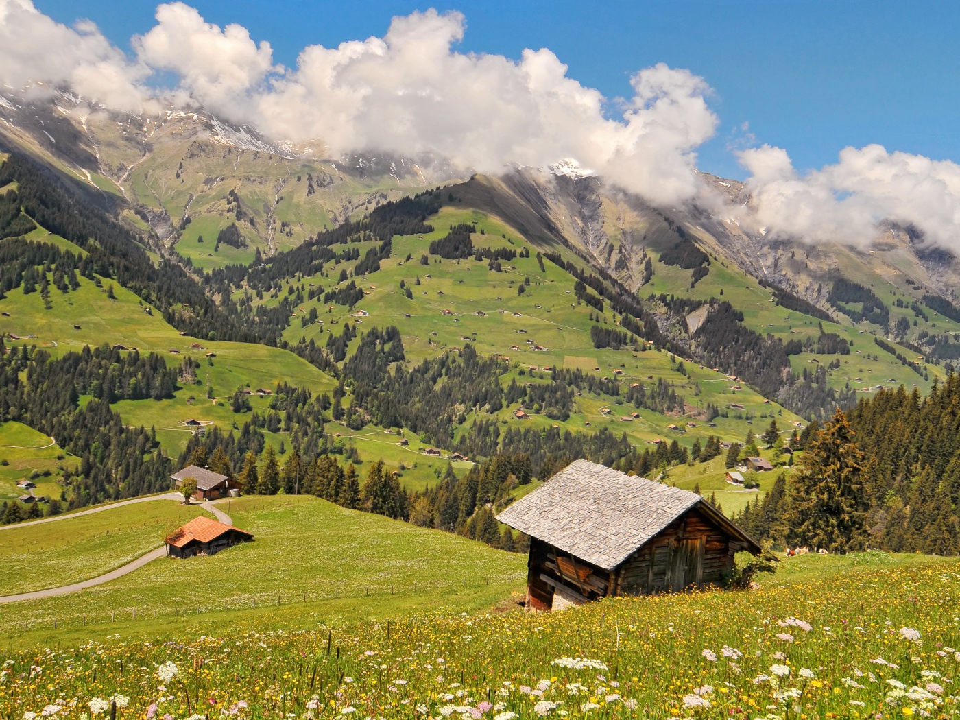 Дом на зеленом холме в горах под белыми облаками