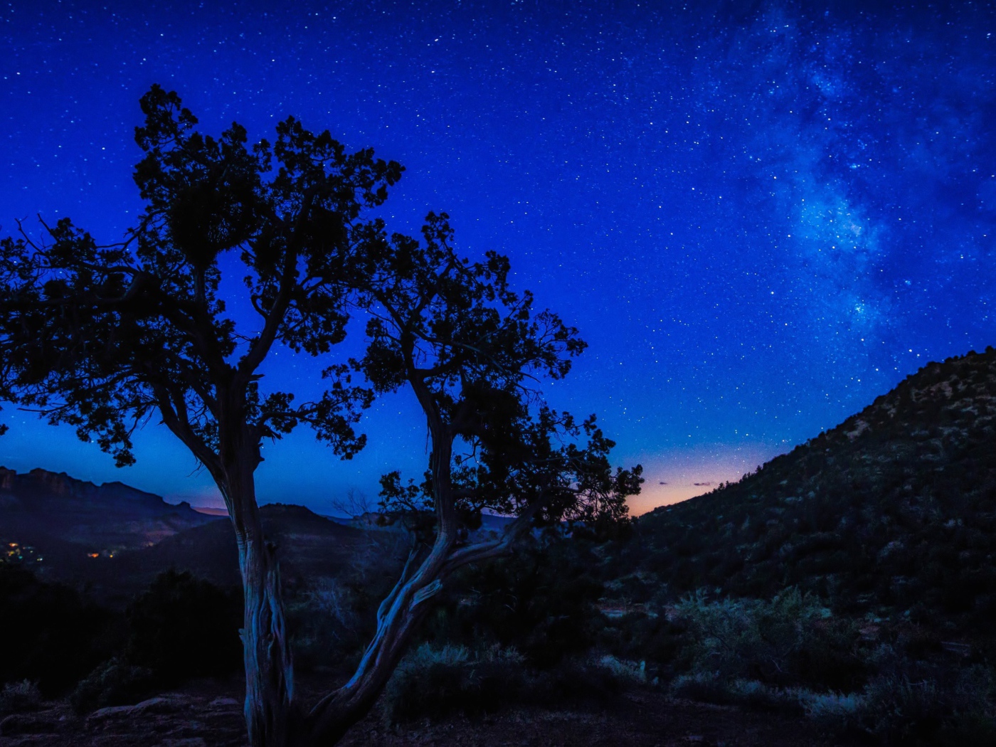 Дерево у холма под голубым звездным небом ночью 