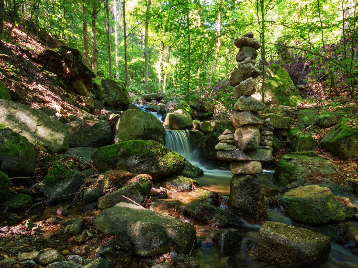 Вода стекает по покрытых мхом камням