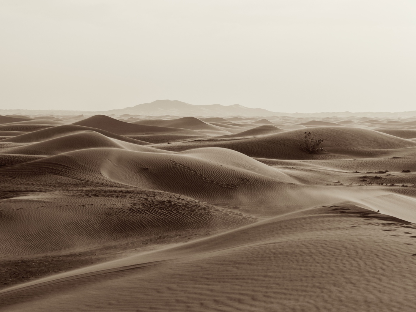 Бескрайние пески пустыни 