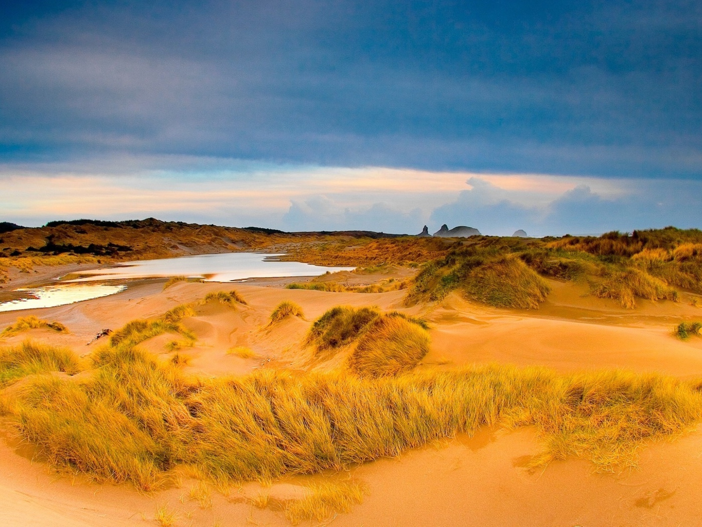 Мокрый песок с травой в пустыне