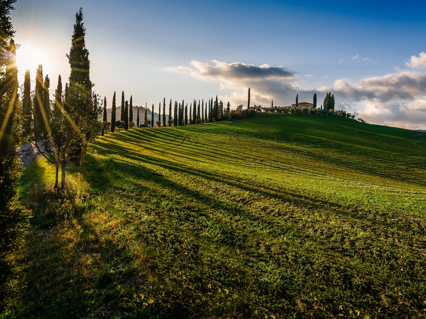Зеленые поля в лучах солнца летом