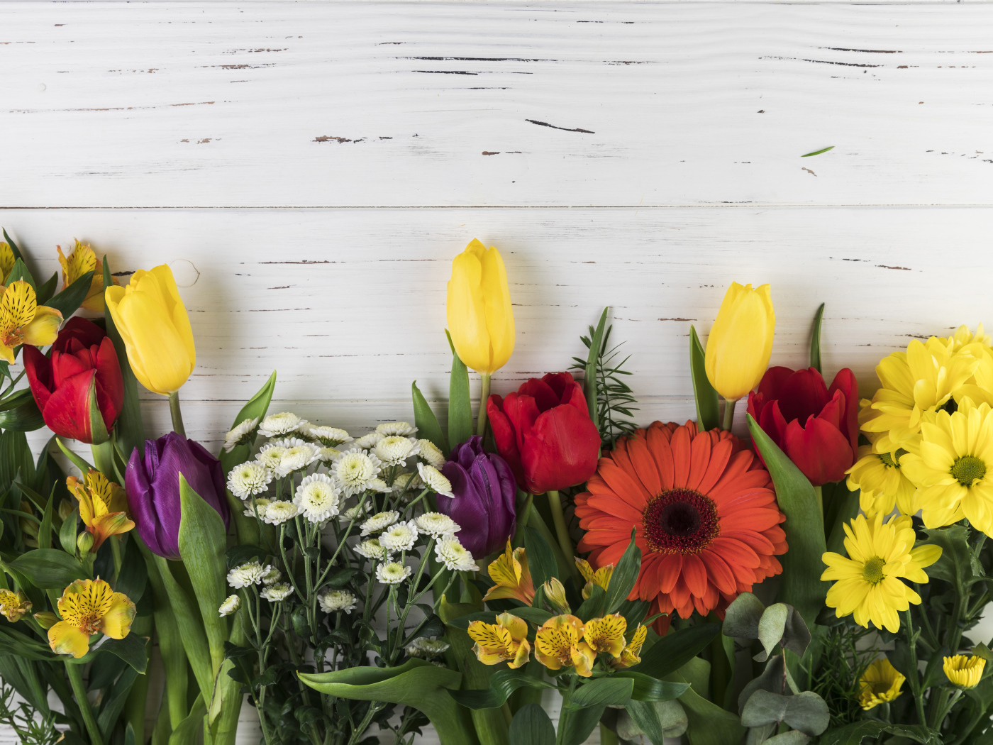 Цветы альстромерии, тюльпанов и георгин на белом фоне 