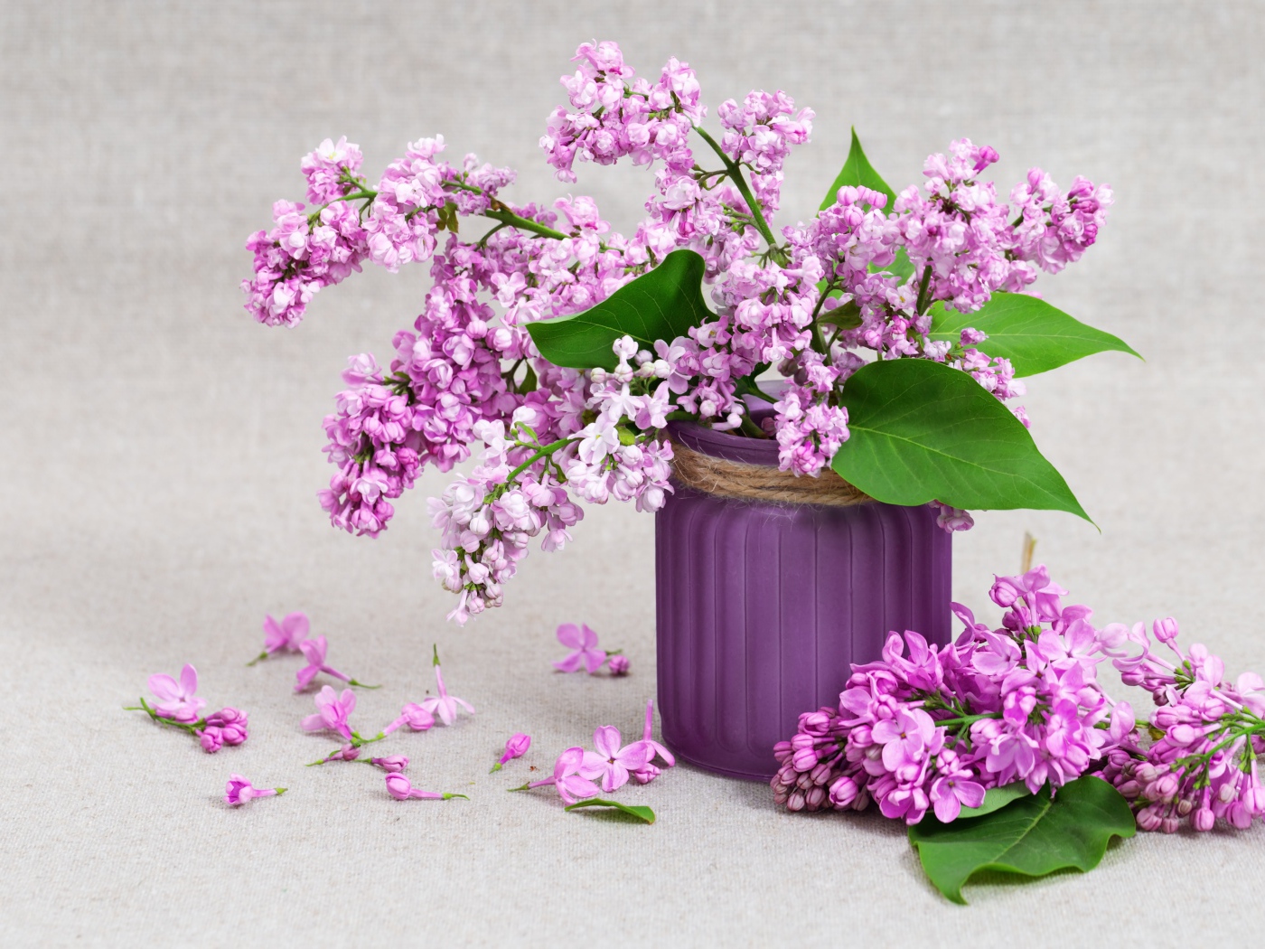 Красивая сирень в вазе на сером фоне