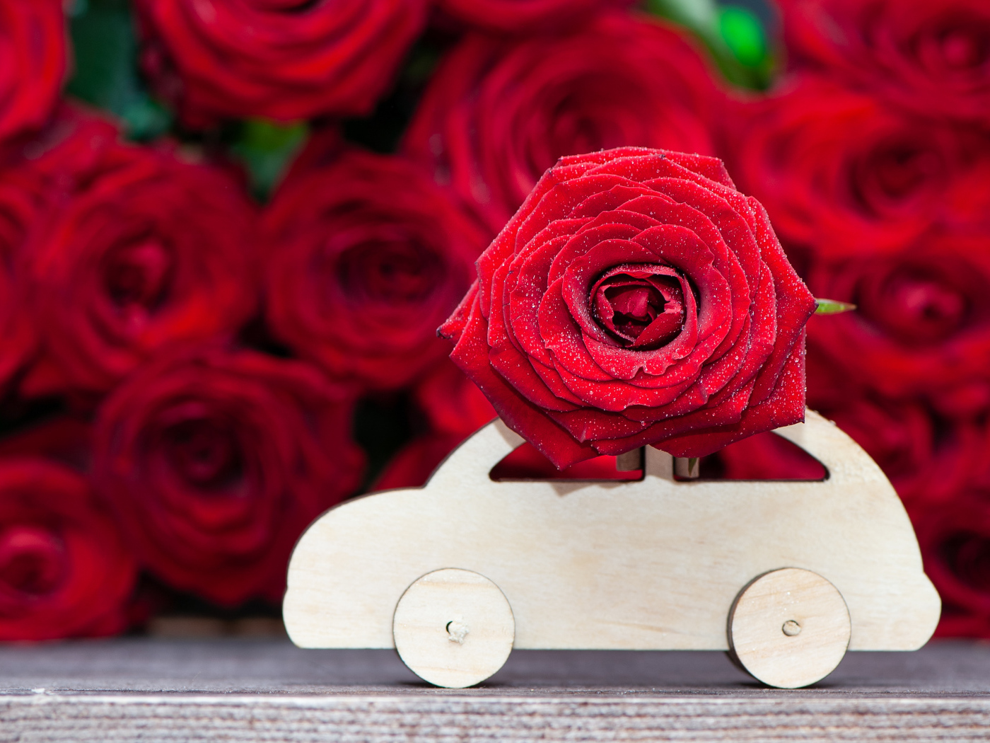 Красивая красная роза с деревянной машинкой 