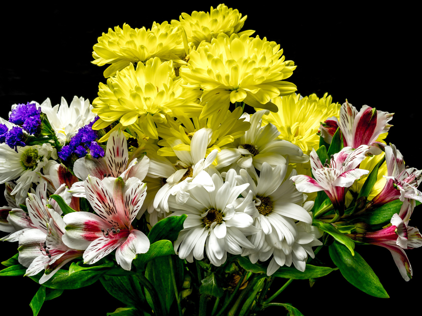 Букет из цветов хризантемы и альстромерии на черном фоне