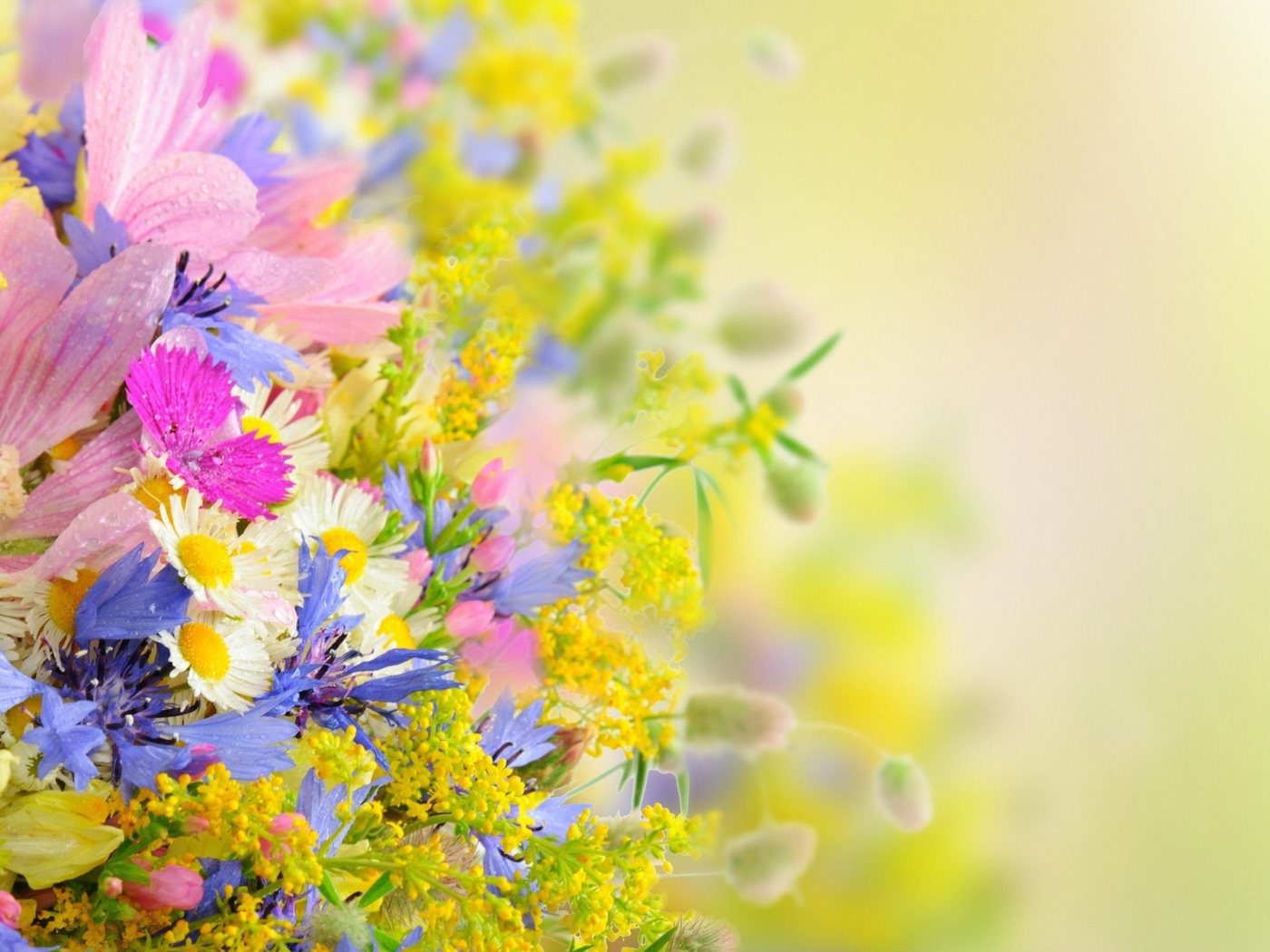 Букет разноцветных ярких летних цветов на размытом фоне