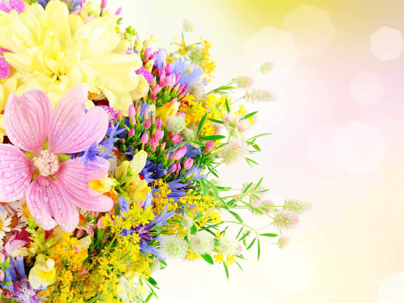 Букет разноцветных летних цветов на розовом фоне